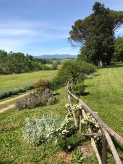 Salceta, a Tuscany Country House - Campogialli - 5