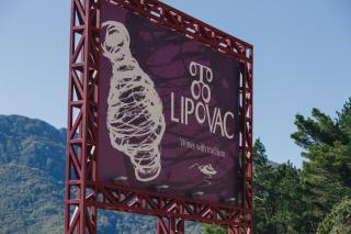 Eco Winery Lipovac Apartments - Cetinje - 3