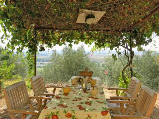 Holiday Home L'Uccelliera by Interhome - Il Prato - 7