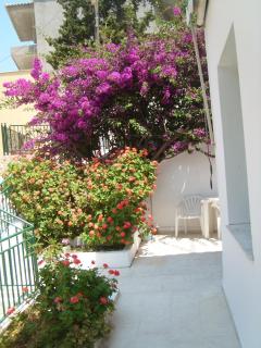"SEASCAPE" Studio and Apts - 3