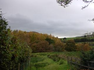 The Old School House Bed and Breakfast - Llanbrynmair - 6