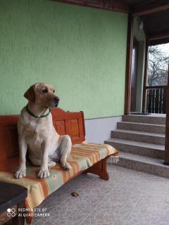 Boykivska Familiya - 4