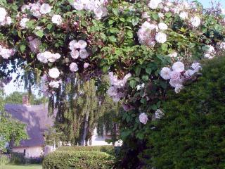Chequer Cottage - Horseheath - 3