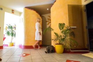 Hotel Garni Erlbacher - Schladming - 3