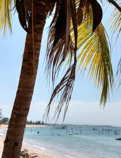 Suíte Bella Vista - Barra Grande - 9
