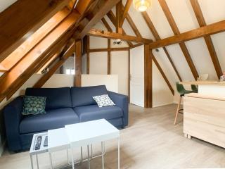Le Cocon - Classé 3 étoiles - Avec garage, à 5mn du centre - Straßburg - 9
