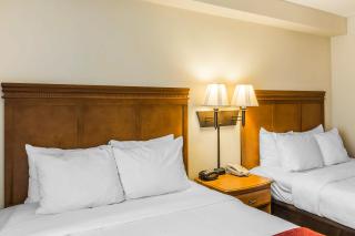 Comfort Suites - Valdosta - 9