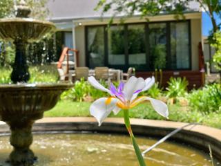 Alluvia Boutique Winery & Luxury Accommodation - Stellenbosch - 1
