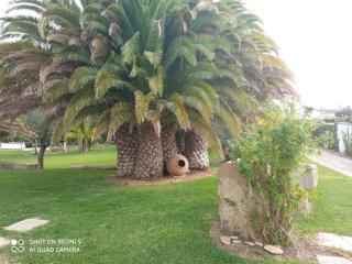 El Olivar de Roche Viejo - Conil de la Frontera - 5