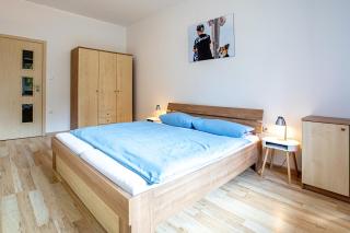 Apartmán Lipno 50/18 - Lipno nad Vltavou - 7