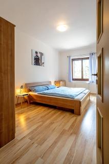 Apartmán Lipno 50/18 - Lipno nad Vltavou - 1