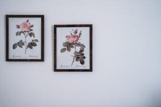 Wattle Terrace - Castlemaine - 5