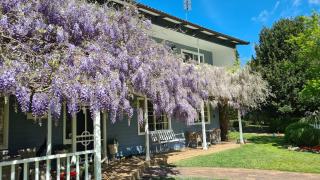 Bowral Escape - Burradoo - 6