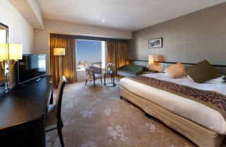 Hotel Granvia Okayama - 5