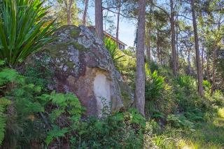 Pure Valley Estate - Lower Mangrove - 2