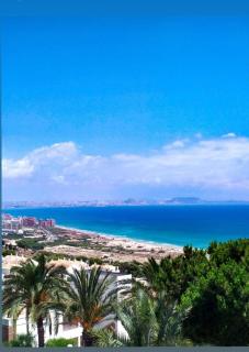 Sea view holiday apartment near Alicante - Santa Pola - 9