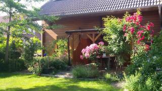 Reuken - Fewo Zum Emslotsen - Emden - 8