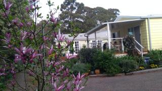 The Best Exotic Magnolia Cottage - Bundanoon - 9