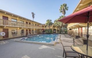 Red Roof Inn Tampa Bay - St. Petersburg - St Petersburg - 4