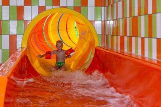 Camping de Vogel - 8