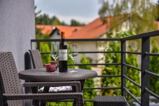 Apartment Vanja Lux Binis - Zlatibor - 9