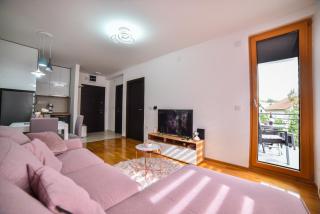 Apartment Vanja Lux Binis - Zlatibor - 7