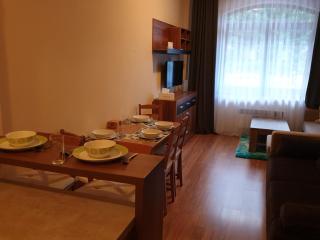 Apartment 7 Donovaly, AD Kamzík - Donovaly - 8