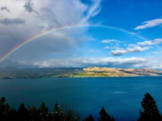 Lakeside Lodge and Suites - Chelan - 3