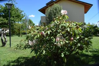 Montalto - Dina Huapi - 1