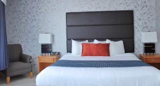 Best Western Plus Regency Inn and Conference Centre - 5