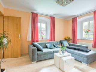 Apartment in Rauschenbach Saxony near Forest - Neuhausen - 0