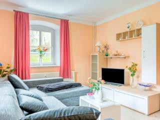 Apartment in Rauschenbach Saxony near Forest - Neuhausen - 6