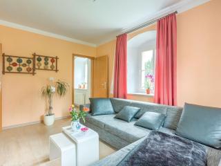 Apartment in Rauschenbach Saxony near Forest - Neuhausen - 4