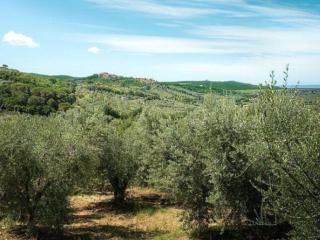 Belvilla by OYO Mario - Castagneto Carducci - 1