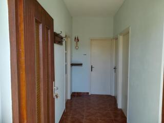Holiday House near the sea - Ugljan - 7