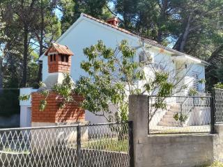 Holiday House near the sea - Ugljan - 9