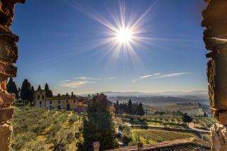 Fattoria di Cinciano - Poggibonsi - 6