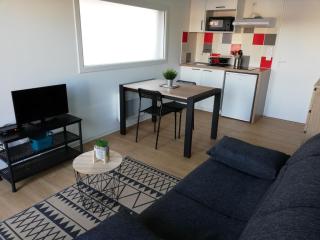 Studios les 3 Eclats - Saint-Laurent-sur-Sèvre - 8