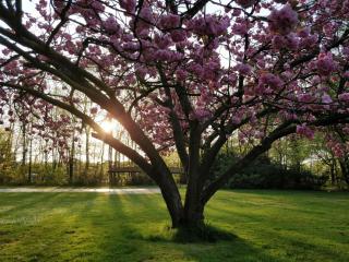 B&B Domein Rodin - Oud-Turnhout - 9
