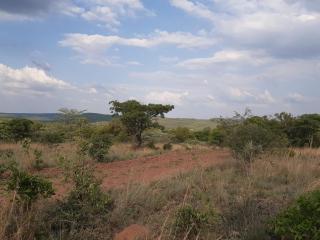 Five Pebbles on Piece of Africa - 1