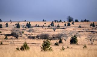 Le basecamp des sommets - 4