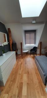 Apartament Vilda - Poznań - 5