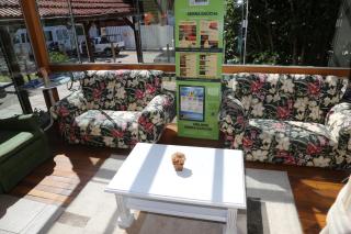 Hotel Alpen Hof - Gramado - 2
