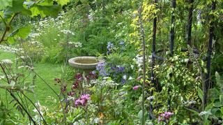 Thorpe Green House Vegetarian Bed & Breakfast - 1