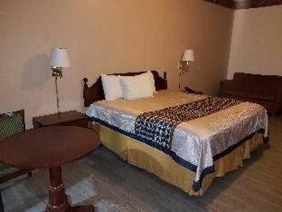 Texas Inn Downtown McAllen - McAllen - 3