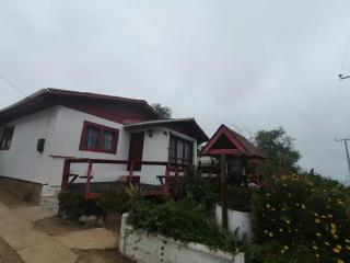 los troncos - El Tabo - 4