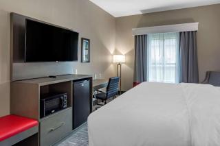 Comfort Inn & Suites - Olive Branch - 1