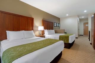 Comfort Suites Marysville-Yuba City - Marysville - 8
