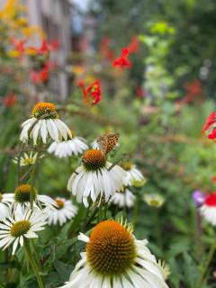 Pension - Gästehaus Zum Pfälzerwald - 2