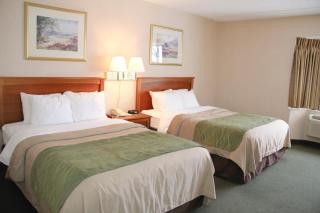 Comfort Inn & Suites Syracuse-Carrier Circle - East Syracuse - 5